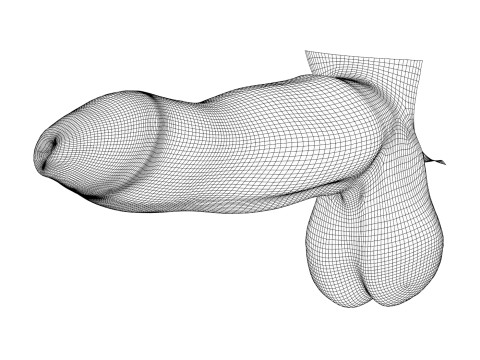 Photorealistic Uncircumcised Big Penis 3D Модель