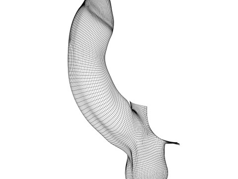 Photorealistic Uncircumcised Big Erect Penis Model 3D