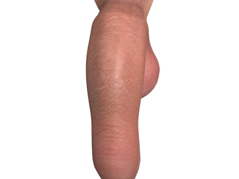 Photorealistic Uncircumcised Big Flaccid Penis 3D Model