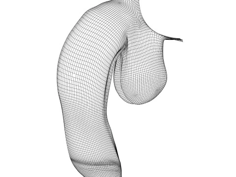 Photorealistic Uncircumcised Big Flaccid Penis 3D Model