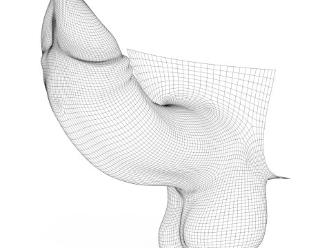 Uncircumcised Erect Male Penis 3D Модель