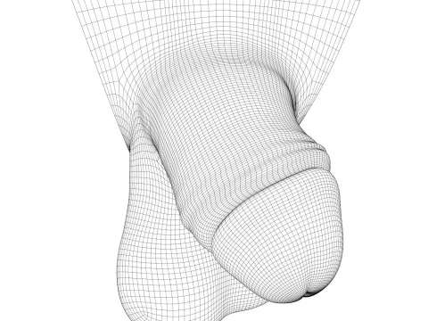 Realistic Small Thick Penis 3D Model