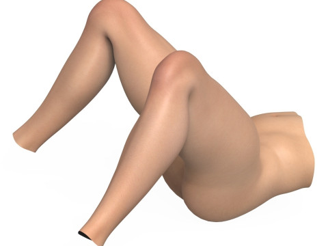 Realistic Female Vagina With Torso 3D Model