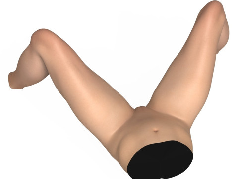 Realistic Female Vagina With Torso 3D Model