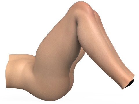 Realistic Female Vagina With Torso 3D Model