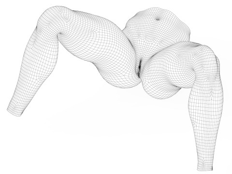 Realistic Female Vagina With Torso 3D Model