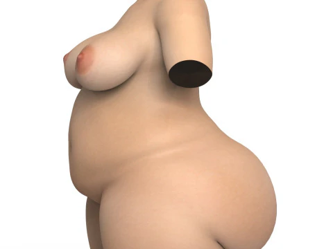 Dicker Frauentorso mit Vagina 3D Modell