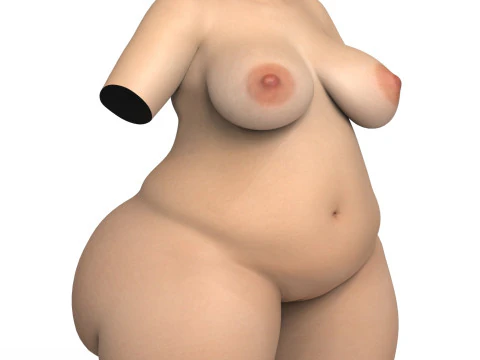 Dicker Frauentorso mit Vagina 3D Modell