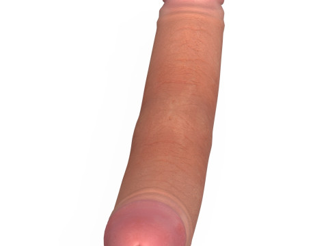Double Sided Man Penis Model 3D