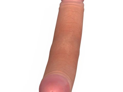 Double Sided Man Penis 3D Model