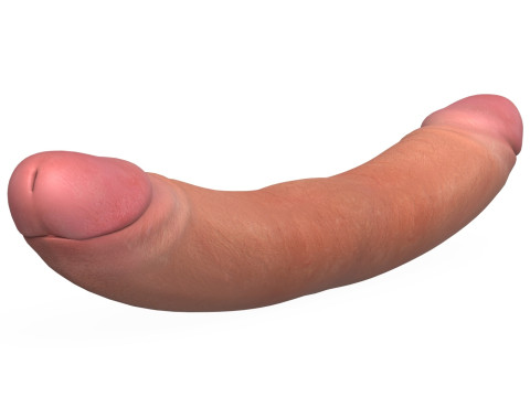 Double Sided Man Penis Model 3D