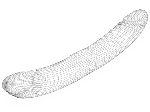 Double Sided Man Penis Model 3D