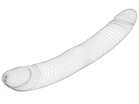 Double Sided Man Penis 3D Model