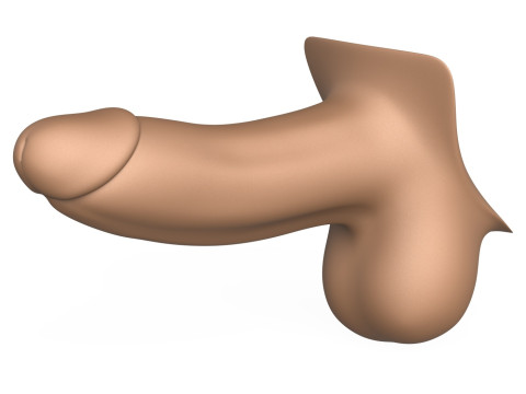 3D Print Ready Penis 01 3D Принт Модель