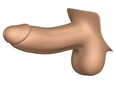 3D Print Ready Penis 01 3D Print Model