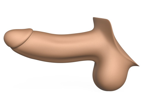 3D Print Ready Penis 01 3D Принт Модель