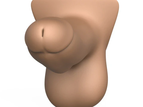 3D Print Ready Penis 01 3D Print Model