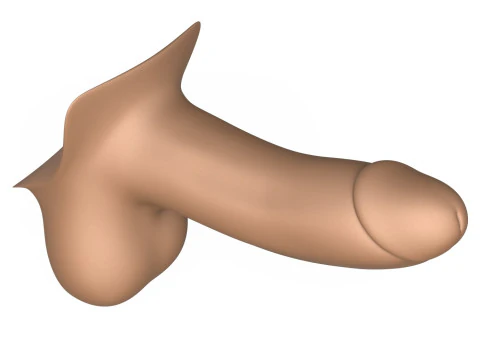 3D Print Ready Penis 01 3D Print Model