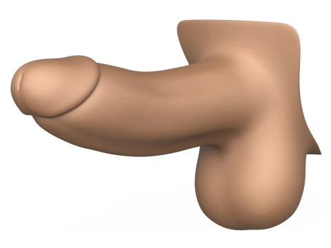 3D Print Ready Penis 01 3D Print Model