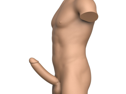 3D Print Ready Male Torso with Penis Modelo de Impressão 3D
