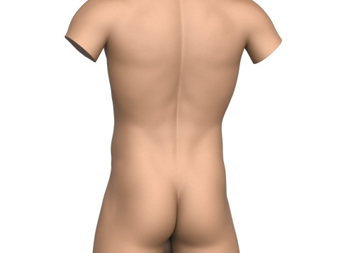 3D Print Ready Male Torso with Penis Modelo de Impressão 3D