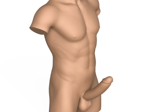 3D Print Ready Male Torso with Penis Modelo de Impressão 3D