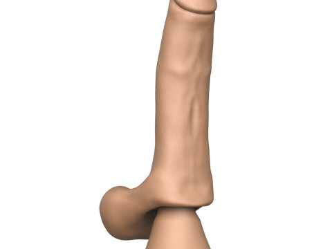 3D Print Ready Penis Toy 3D Принт Модель
