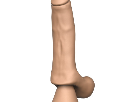 3D Print Ready Penis Toy 3D Принт Модель