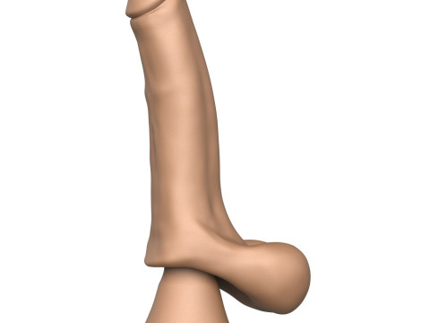3D Print Ready Penis Toy 3D Принт Модель