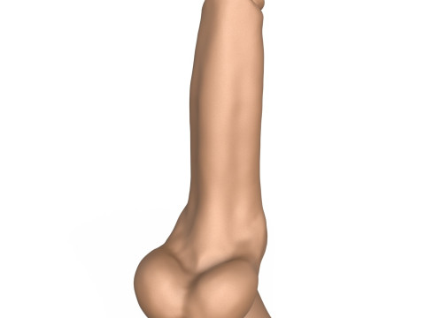 3D Print Ready Penis Toy 3D Принт Модель