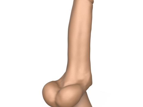 3D Print Ready Penis Toy 3D Принт Модель