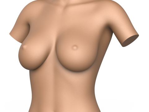 3D Print Ready Woman Breast 3D-printmodel