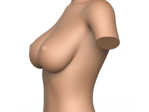 3D Print Ready Woman Breast 3D Print Model