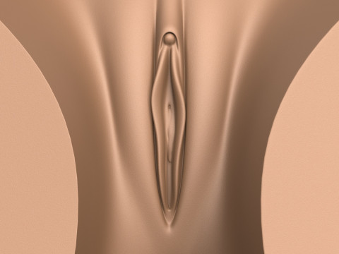 3D Print Ready Woman Torso with Vagina Modelo de Impressão 3D