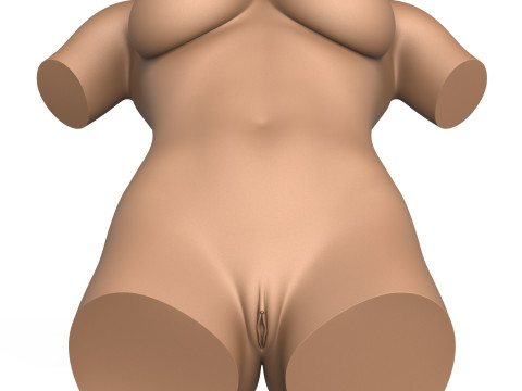 3D Print Ready Woman Torso with Vagina Modelo de Impressão 3D
