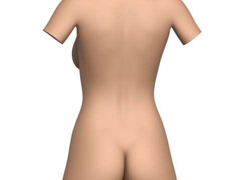 3D Print Ready Woman Torso with Vagina Modelo de Impressão 3D