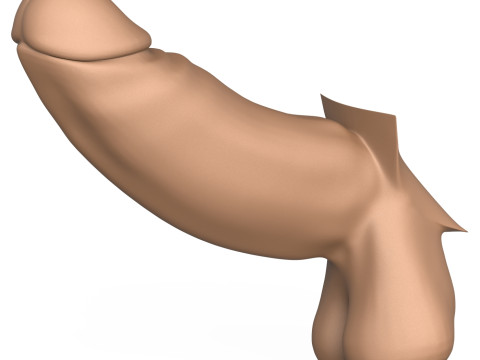 3D Print Ready Long Thick Penis 3Dプリントモデル