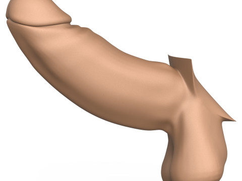 3D Print Ready Long Thick Penis 3Dプリントモデル