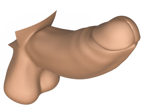 3D Print Ready Long Thick Penis 3Dプリントモデル