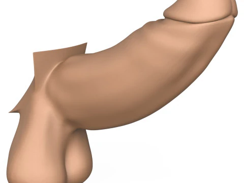 3D Print Ready Long Thick Penis 3D Print Model