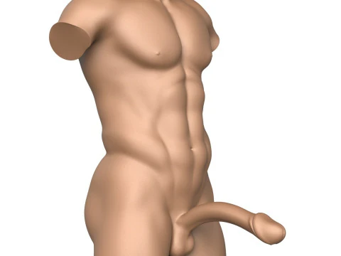 3D Print Ready Fantasy Man Penis with Torso 3D Print Model