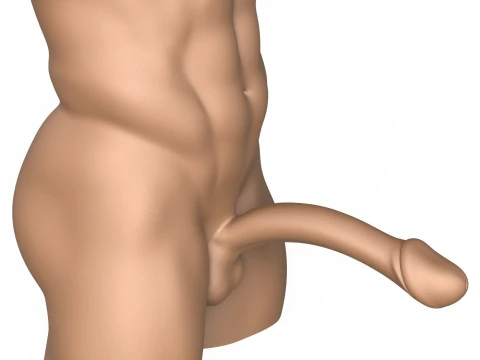 3D Print Ready Fantasy Man Penis with Torso 3D Print Model