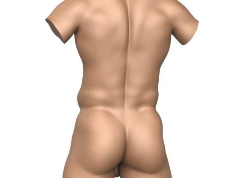 3D Print Ready Fantasy Man Penis with Torso 3D Print Model