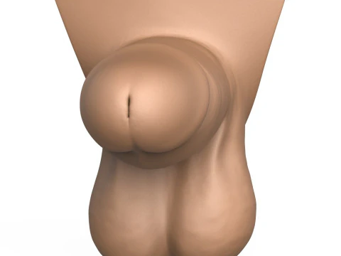 High Detailed 3D Print Ready Small Penis 3D Print Model