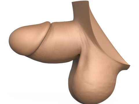 High Detailed 3D Print Ready Small Penis 3D Print Model