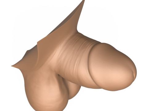 High Detailed 3D Print Ready Small Penis 3D Baskı Modeli