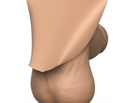 High Detailed 3D Print Ready Small Penis 3D Print Model