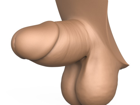 High Detailed 3D Print Ready Small Penis 3D Baskı Modeli