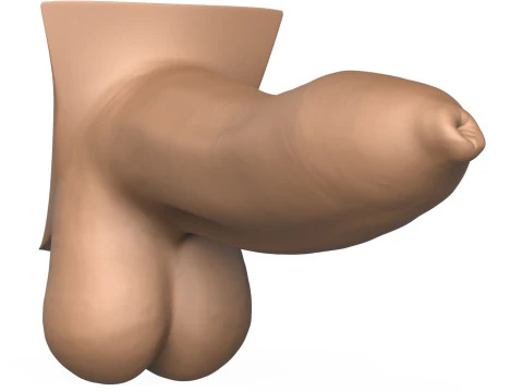 High Detailed 3D Print Ready Uncircumcised Penis 3D Print Model