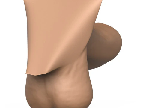 High Detailed 3D Print Ready Uncircumcised Penis 3D Print Model